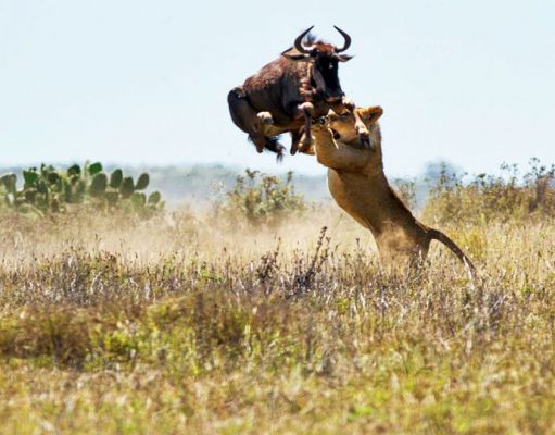 Luxury South Africa holidays