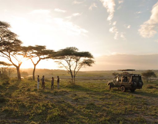 Serengeti Under Canvas gallery