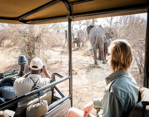 Matetsi Victoria Falls Zambezi River safari tour