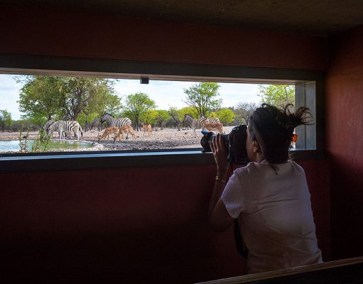 Anderssons Camp gallery
