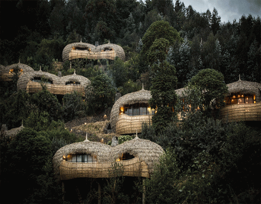Bisate Lodge gallery
