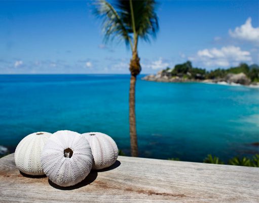 Carana Beach Hotel Indian ocean Seychelles