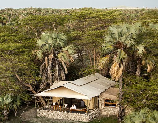 Luxury Northern Tanzania Safaris gallery