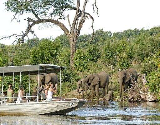 Chobe Chilwero gallery