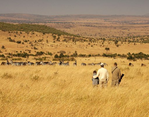 The Serengeti Wildebeest Migration gallery