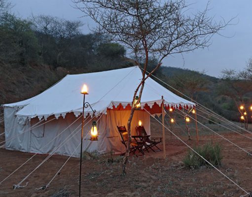 Dera Amer Camp luxury Indian Travel Holidays