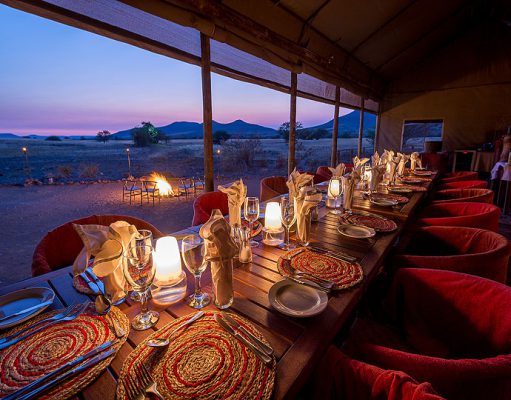 Desert Rhino Camp gallery