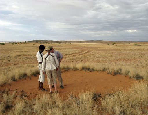 Luxury Self Drive Safaris gallery