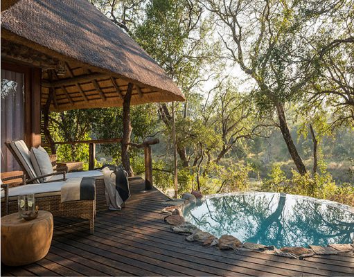Dulini Has Exciting News for the Sabi Sands gallery