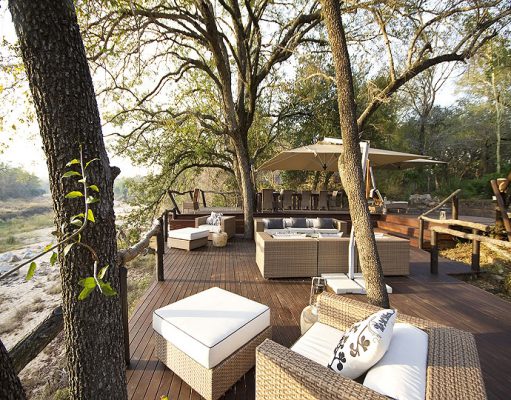 Dulini Has Exciting News for the Sabi Sands gallery