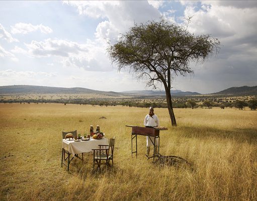 Top Bush Lunch Spots in Africa gallery