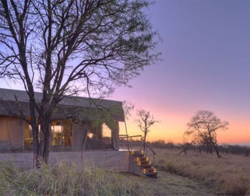 Dunia Camp gallery
