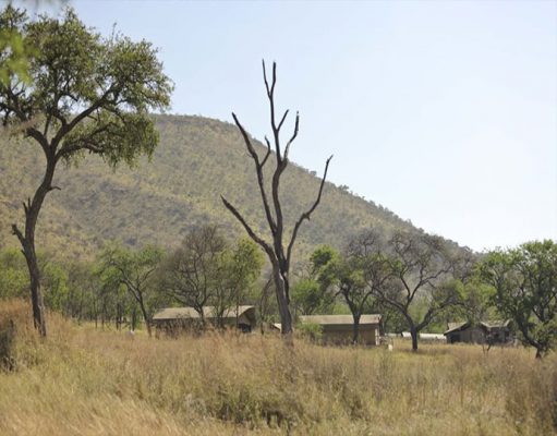 Dunia Camp gallery