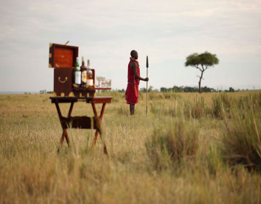 Culture & Wildlife Safari