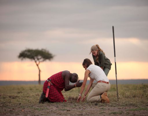 Kenya & Mozambique Safari