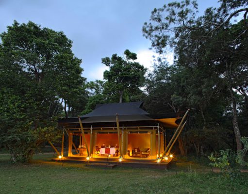Elephant Pepper Camp gallery