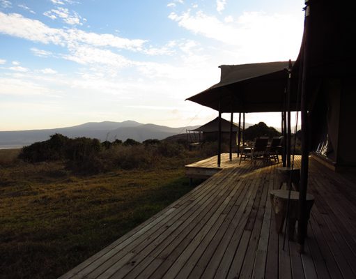 Nomad Entamanu gallery