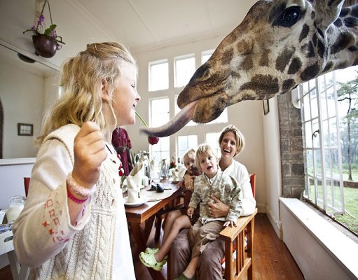 Giraffe Manor gallery
