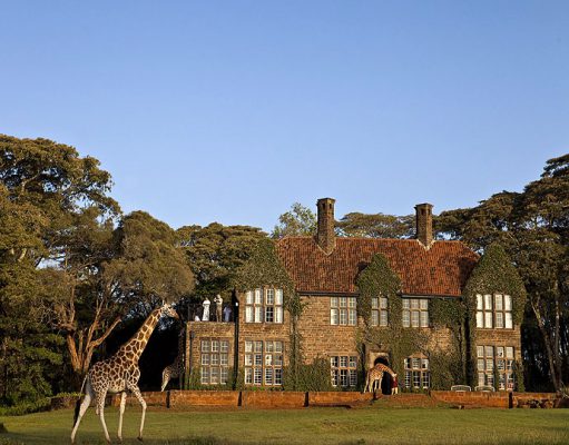 Giraffe Manor gallery