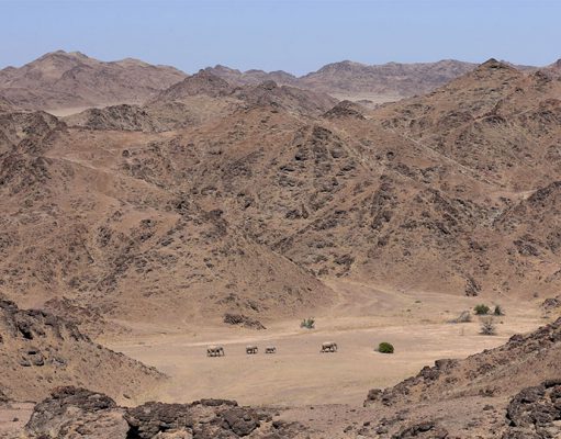 Hoanib Valley Safari Camp, Hoanib Camp, North West Namibia Luxury Holidays