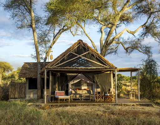 Northern Tanzania gallery