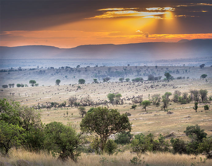 Legendary Serengeti Mobile - Luxury Safari Company