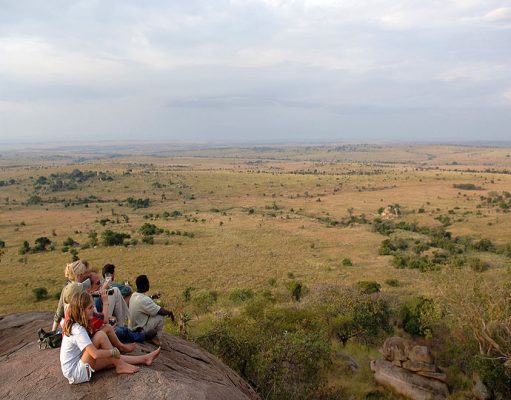 Top Luxury Safari Views gallery