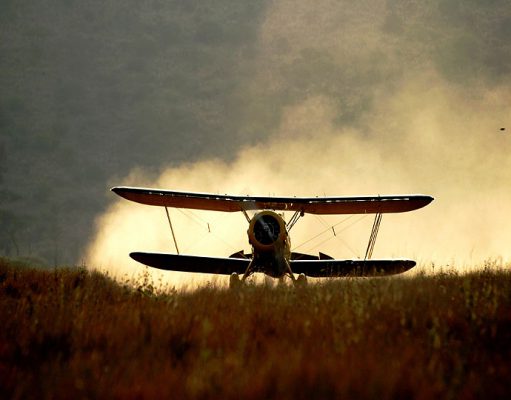 Lewa Wilderness gallery