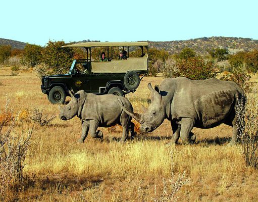 Luxury Self Drive Safari