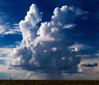New Pool in Liuwa