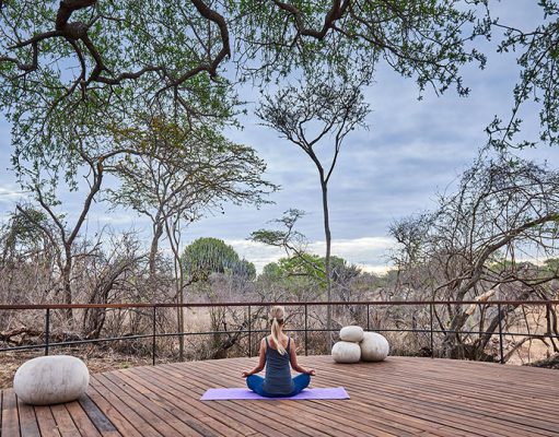 Mwiba Lodge gallery