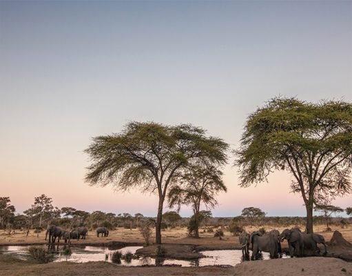 Our canoe safari was incredibly relaxing, just taking in the sights sounds and feel of gliding serenely down this ebbing and flowing artery of Africa.