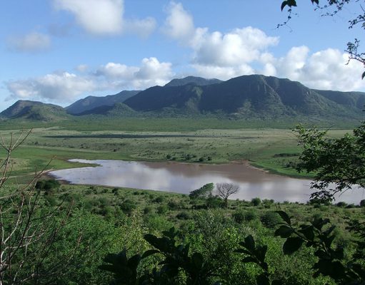 Mkomazi gallery