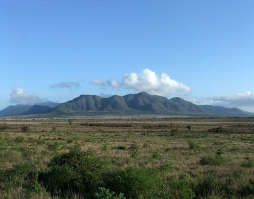 Mkomazi gallery