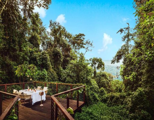 Nyungwe House wilderness retreat. Rwanda, Nyungwe Forest National Park