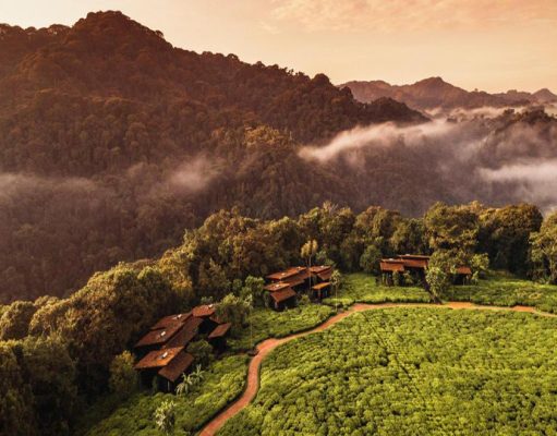 Nyungwe House wilderness retreat. Rwanda, Nyungwe Forest National Park