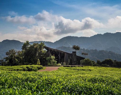 Nyungwe House wilderness retreat. Rwanda, Nyungwe Forest National Park
