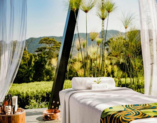 Nyungwe House wilderness retreat. Rwanda, Nyungwe Forest National Park