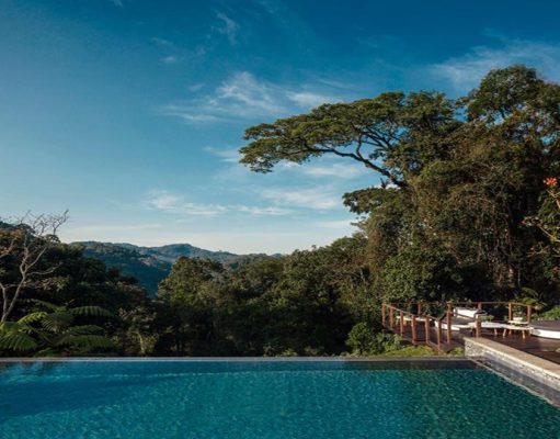 Nyungwe House wilderness retreat. Rwanda, Nyungwe Forest National Park