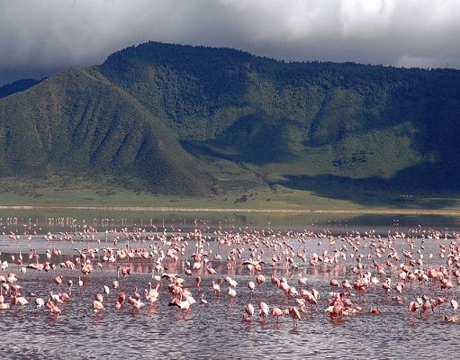 Ngorongoro Crater Lodge gallery