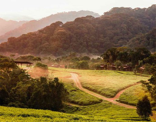 One & Only Nyungwe House gallery