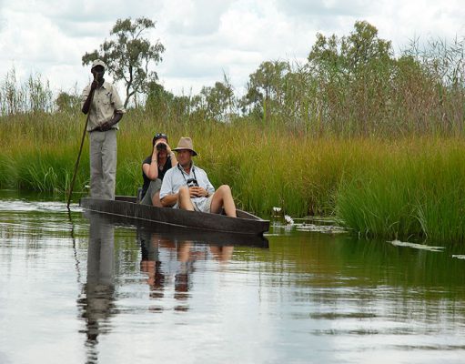 Okavango & Moremi gallery