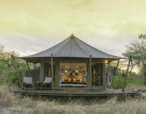 Onguma Tented Camp gallery