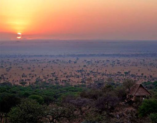 Pioneer Serengeti gallery