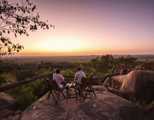 Pioneer Serengeti gallery