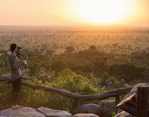 Pioneer Serengeti gallery