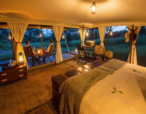 Pioneer Serengeti gallery