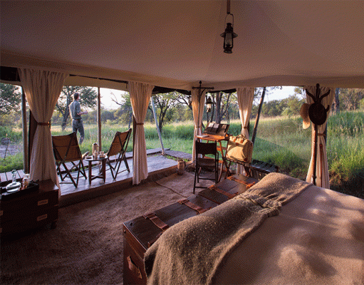 Pioneer Serengeti gallery