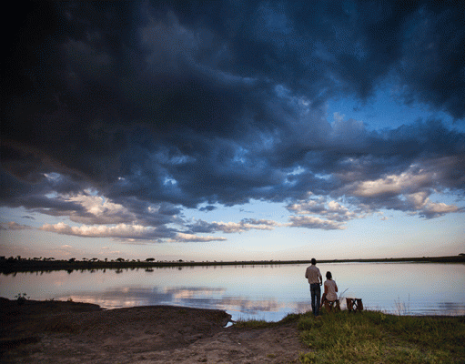Pioneer Serengeti gallery