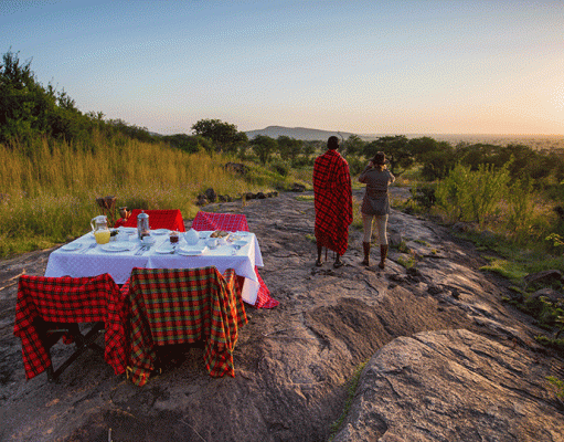 Pioneer Serengeti gallery
